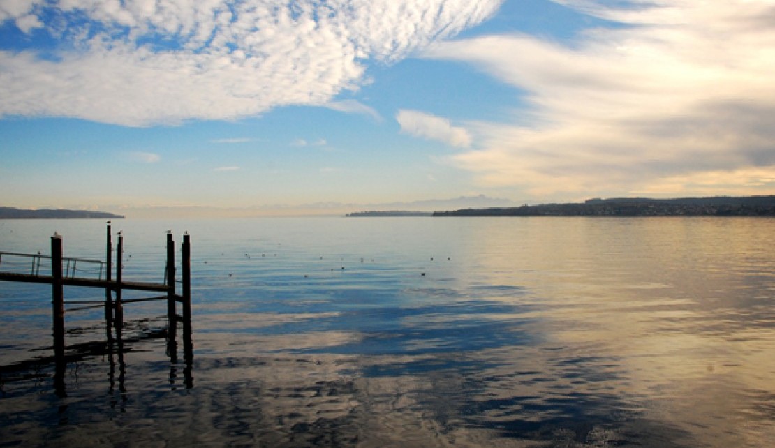 Bodensee und Säntisblick