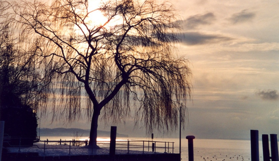 Ruhige Zeit am Bodensee